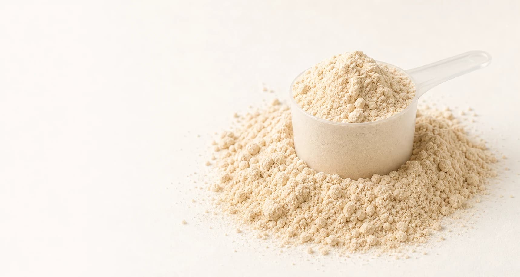 A scoop filled with protein powder